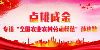 【无锡】点桃成金——专访“全国农业农村劳动模范”孙建勤
